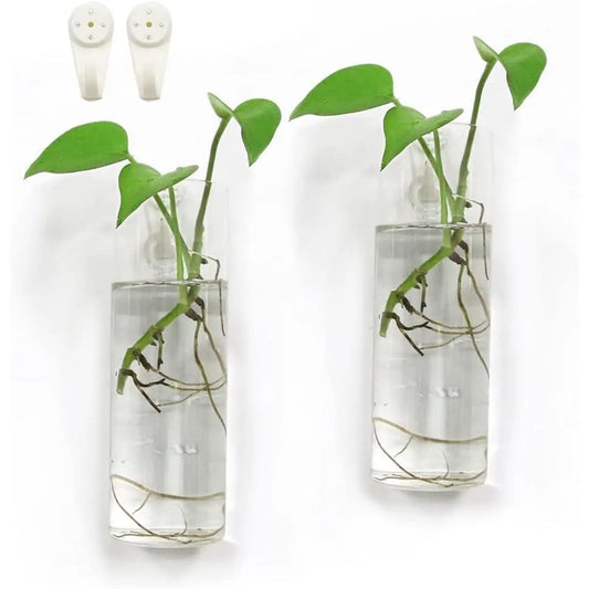 2-Pack Glass Wall-Mounted Planters – Indoor Hanging Terrarium Vases for Plants & Floral Arrangements